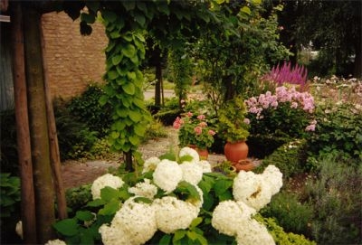 My work