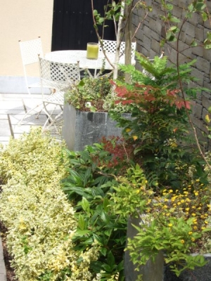 My work
