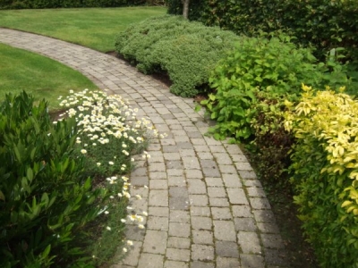 My work